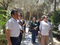 В Баку почтили память известной ханенде Сары Гадимовой (ФОТО)