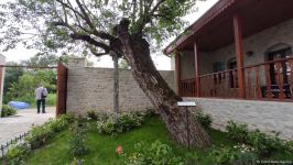 В Шуше для более 100 местных и иностранных представителей организован тур по городу (FOTO)