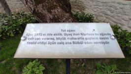 В Шуше для более 100 местных и иностранных представителей организован тур по городу (FOTO)