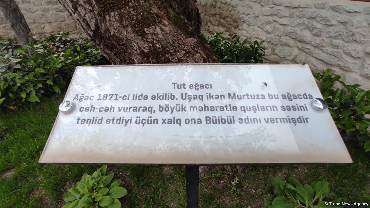 В Шуше для более 100 местных и иностранных представителей организован тур по городу (FOTO)