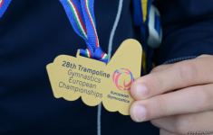 Азербайджанские гимнасты привезли в Баку из Италии медали Чемпионата Европы (ФОТО)