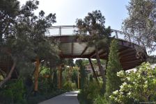 Жители Баку поблагодарили Президента Ильхама Алиева в связи с открытием нового парка  "Чемберекенд" (ФОТО/ВИДЕО)