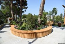 Жители Баку поблагодарили Президента Ильхама Алиева в связи с открытием нового парка  "Чемберекенд" (ФОТО/ВИДЕО)