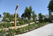 Жители Баку поблагодарили Президента Ильхама Алиева в связи с открытием нового парка  "Чемберекенд" (ФОТО/ВИДЕО)