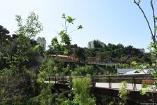 Жители Баку поблагодарили Президента Ильхама Алиева в связи с открытием нового парка  "Чемберекенд" (ФОТО/ВИДЕО)