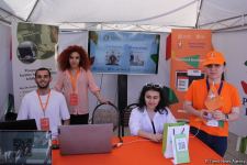 Билет в будущее! "Фестиваль профессий" был организован на самом высоком уровне –Сабина Иманова  (ФОТО)