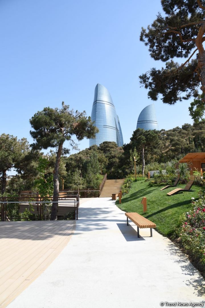 Жители Баку поблагодарили Президента Ильхама Алиева в связи с открытием нового парка  "Чемберекенд" (ФОТО/ВИДЕО)