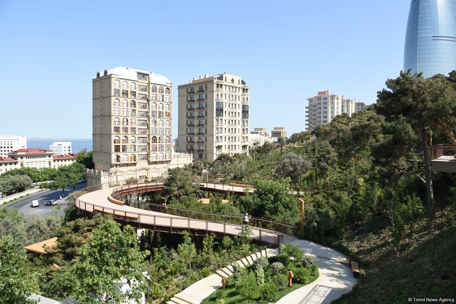 Жители Баку поблагодарили Президента Ильхама Алиева в связи с открытием нового парка  "Чемберекенд" (ФОТО/ВИДЕО)