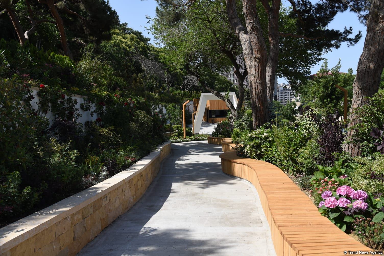 Жители Баку поблагодарили Президента Ильхама Алиева в связи с открытием нового парка  "Чемберекенд" (ФОТО/ВИДЕО)