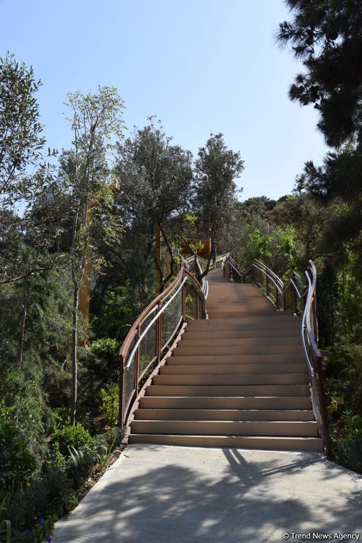 Жители Баку поблагодарили Президента Ильхама Алиева в связи с открытием нового парка  "Чемберекенд" (ФОТО/ВИДЕО)