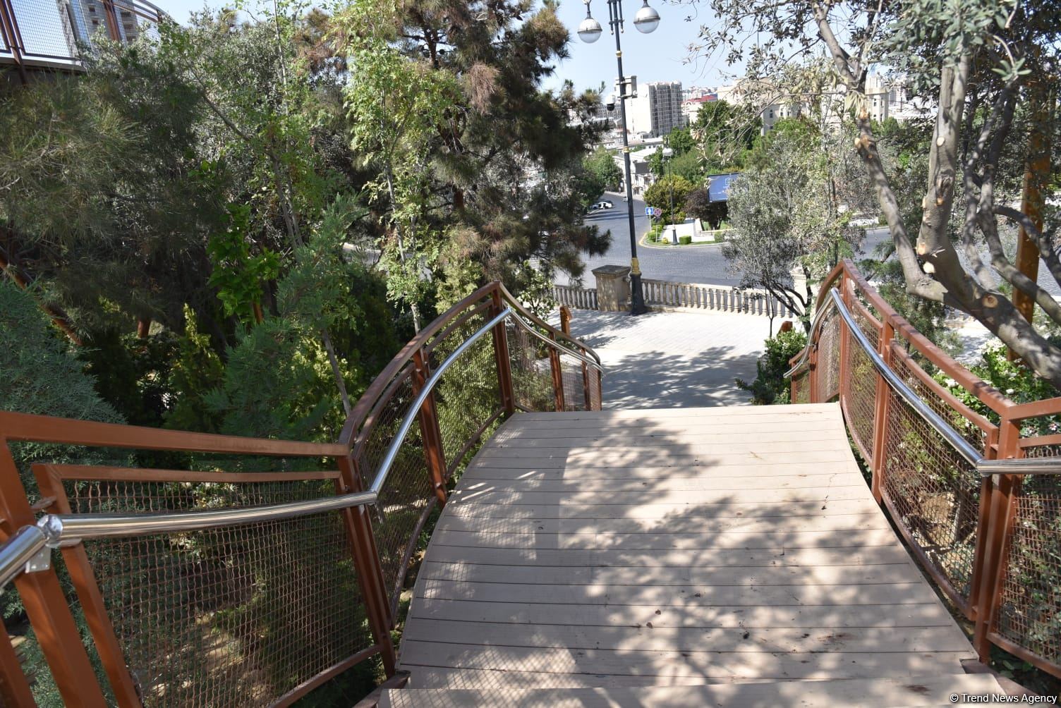 Жители Баку поблагодарили Президента Ильхама Алиева в связи с открытием нового парка  "Чемберекенд" (ФОТО/ВИДЕО)