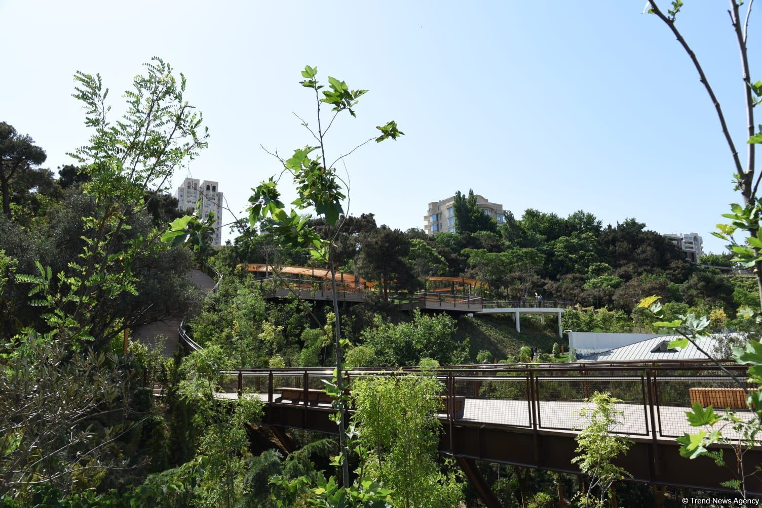 Жители Баку поблагодарили Президента Ильхама Алиева в связи с открытием нового парка  "Чемберекенд" (ФОТО/ВИДЕО)