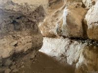 Началась поездка известных зарубежных путешественников на освобожденные территории Азербайджана (ФОТО)