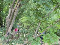 Началась поездка известных зарубежных путешественников на освобожденные территории Азербайджана (ФОТО)