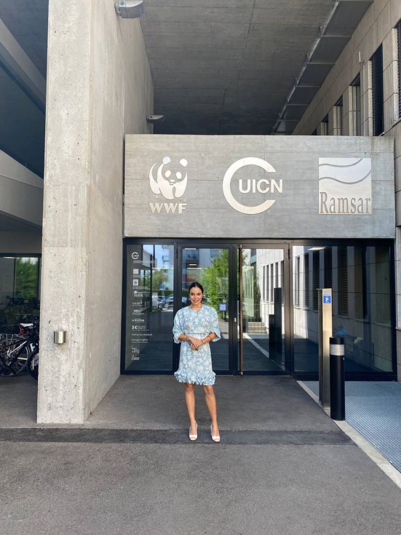 Вице-президент Фонда Гейдара Алиева Лейла Алиева встретилась с руководителями организаций IUCN и WWF International (ФОТО)