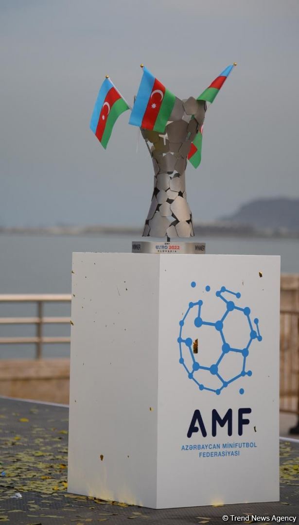 В Баку организован концерт в честь победы Азербайджана на чемпионате Европы (ФОТО)