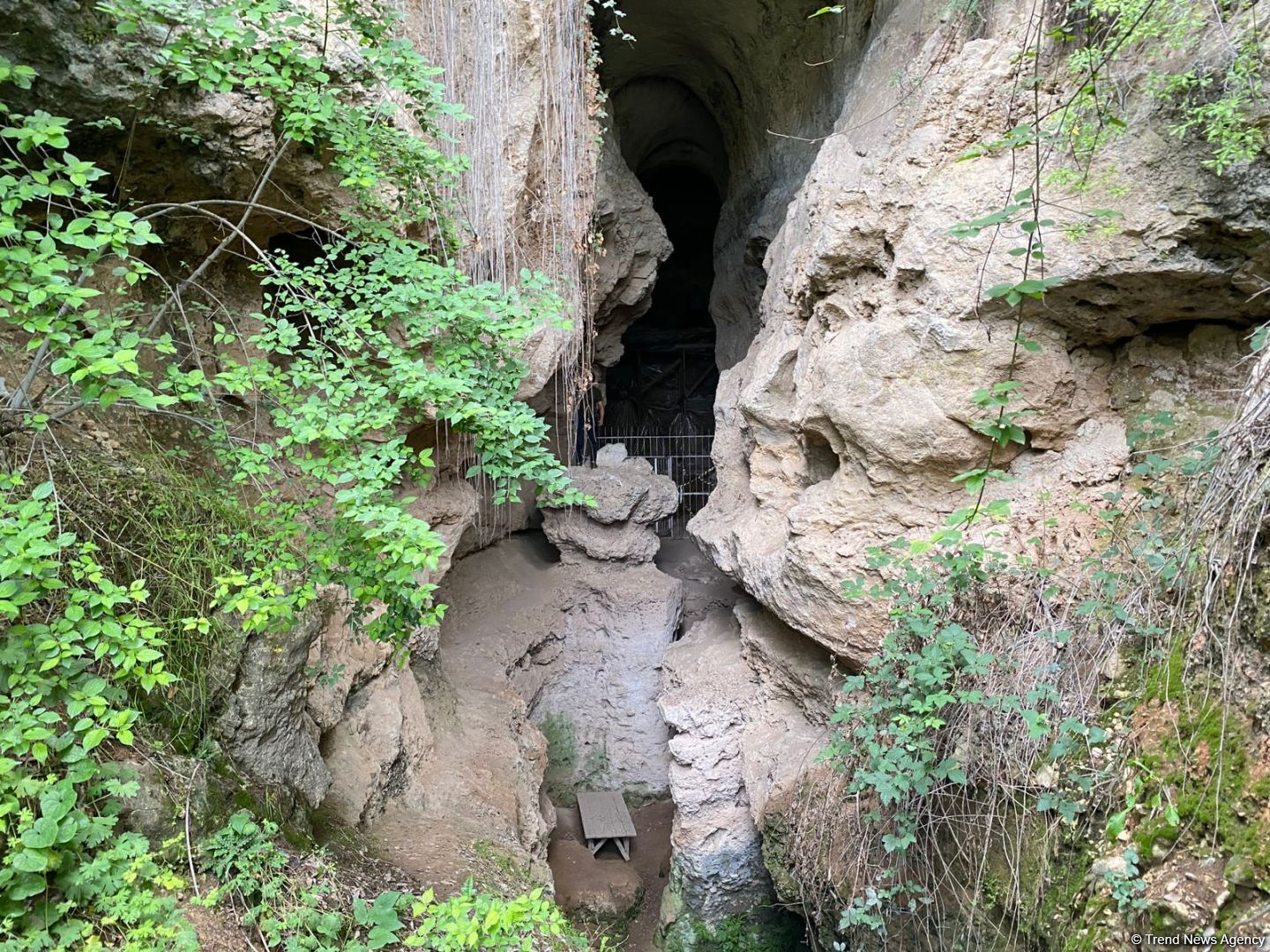 Началась поездка известных зарубежных путешественников на освобожденные территории Азербайджана (ФОТО)