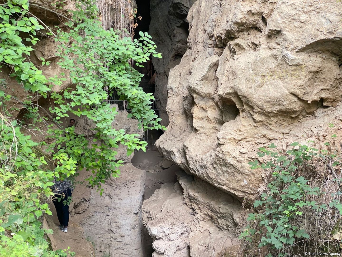 Началась поездка известных зарубежных путешественников на освобожденные территории Азербайджана (ФОТО)