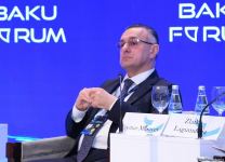 В рамках IX Глобального Бакинского форума состоялись обсуждения на тему управления  здравоохранением (ФОТО)