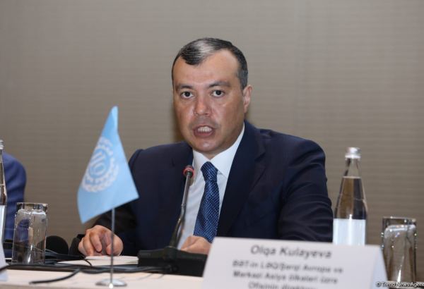 Поддержка семей шехидов и участников войны является основным направлением деятельности министерства - Сахиль Бабаев