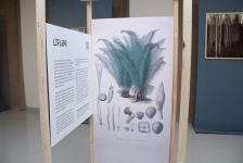 Шведское решение в Гяндже - "Устойчивая мода: будущее текстиля" (ФОТО)