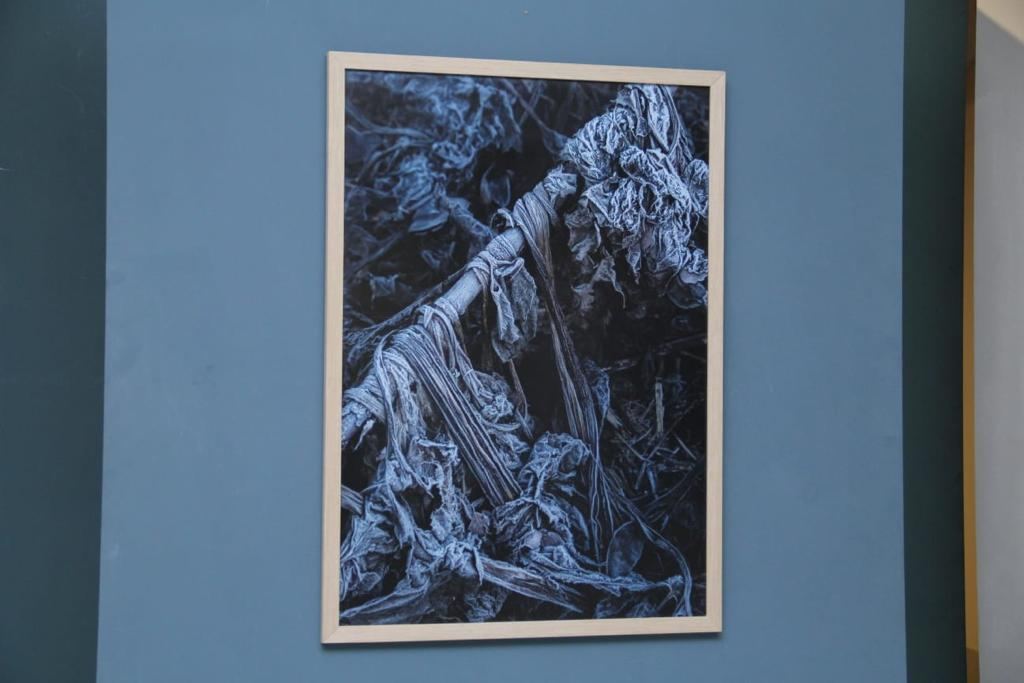 Шведское решение в Гяндже - "Устойчивая мода: будущее текстиля" (ФОТО)