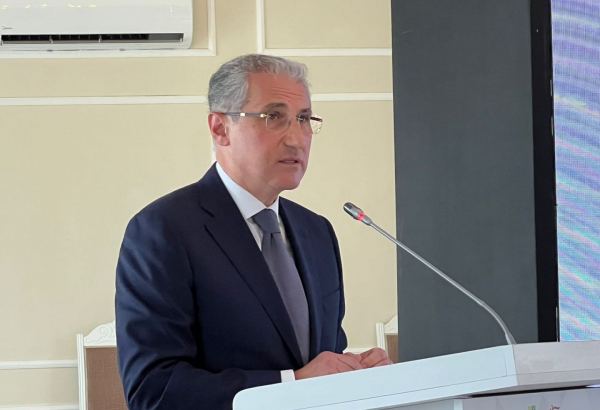 Мухтар Бабаев о недочетах работающего в Сёюдлю золоторудного предприятия