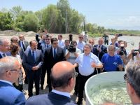 В реку Хакари в Зангилане выпущены мальки ручьевой форели (ФОТО)