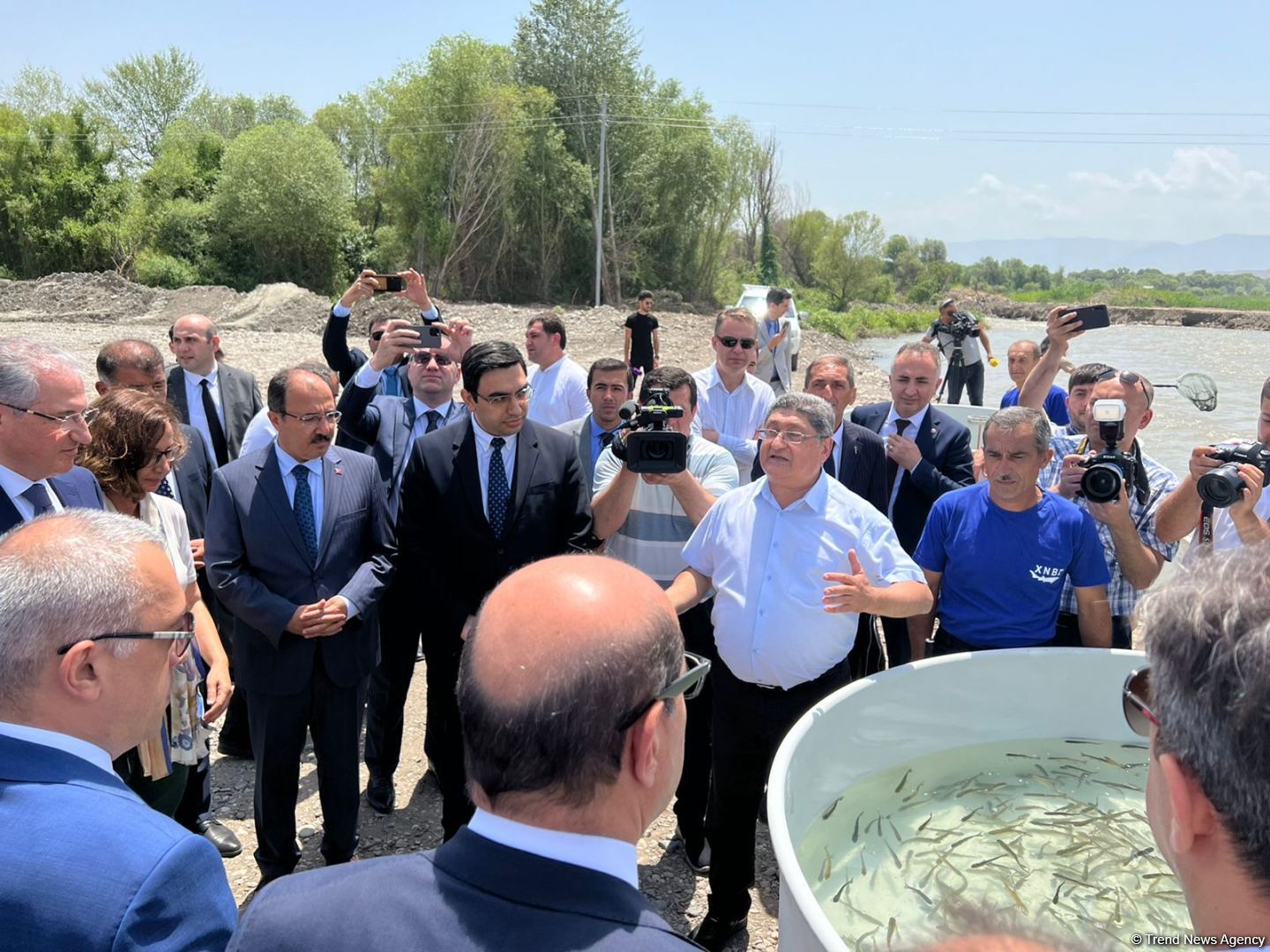 В реку Хакари в Зангилане выпущены мальки ручьевой форели (ФОТО)