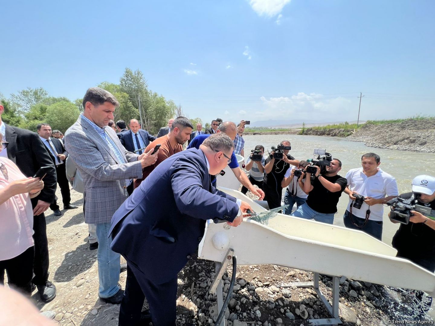 В реку Хакари в Зангилане выпущены мальки ручьевой форели (ФОТО)