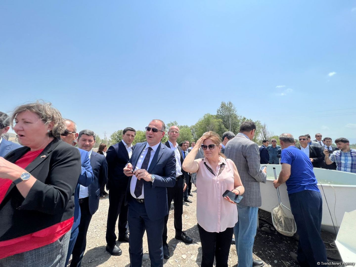 В реку Хакари в Зангилане выпущены мальки ручьевой форели (ФОТО)