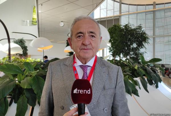 Председательство в Движении неприсоединения свидетельствует об авторитете Азербайджана - Асаф Гаджиев