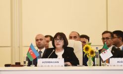 Президент Ильхам Алиев принял участие в Бакинской конференции Парламентской сети Движения неприсоединения (ФОТО/ВИДЕО)