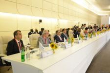 На Бакинской конференции Парламентской сети Движения неприсоединения выступают главы делегаций (ФОТО)