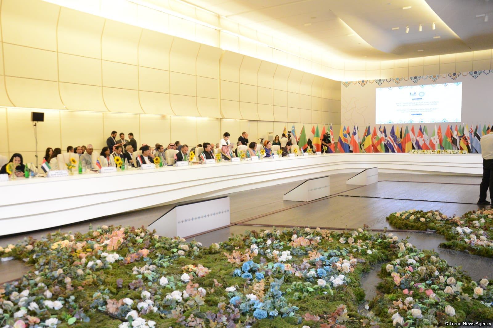 Египет хочет стать активным членом парламентской сети Движения неприсоединения - председатель Сената