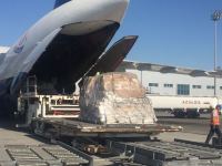 Сумгайыт отправил в Украину гуманитарную помощь (ФОТО)