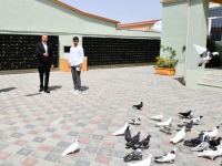 Президент Ильхам Алиев ознакомился с работами по благоустройству в поселке Рамана (ФОТО/ВИДЕО)