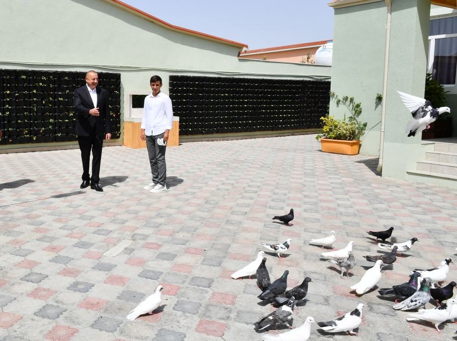 Президент Ильхам Алиев ознакомился с работами по благоустройству в поселке Рамана (ФОТО/ВИДЕО)