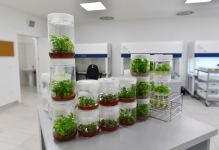 Президент Ильхам Алиев и Первая леди Мехрибан Алиева ознакомились с предприятием ООО Grand-Agro İnvitro, приняли участие в открытии перерабатывающего завода ООО «Азбадам» (ФОТО/ВИДЕО)