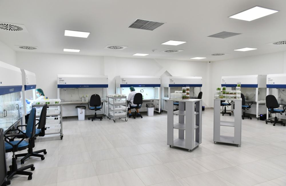 Президент Ильхам Алиев и Первая леди Мехрибан Алиева ознакомились с предприятием ООО Grand-Agro İnvitro, приняли участие в открытии перерабатывающего завода ООО «Азбадам» (ФОТО/ВИДЕО)