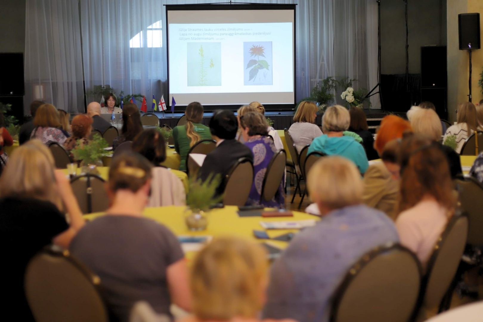 "Два Юлиуса" и техника плетения азербайджанской циновки "четен" в Латвии (ФОТО)