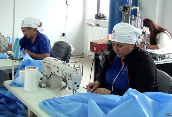 Жители освобожденного от оккупации села Агалы обеспечиваются рабочими местами – репортаж Trend TV