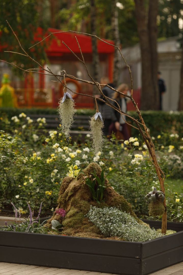 Работы азербайджанского флориста признаны одними из лучших в России (ФОТО)