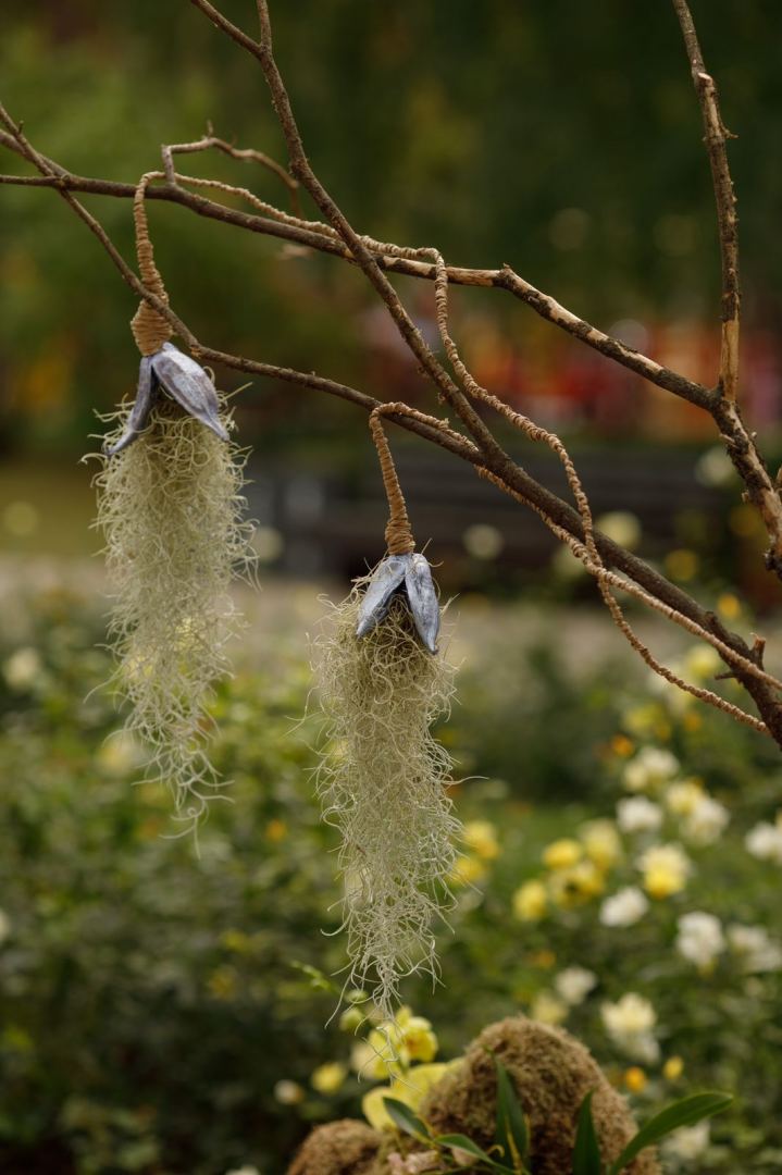 Работы азербайджанского флориста признаны одними из лучших в России (ФОТО)