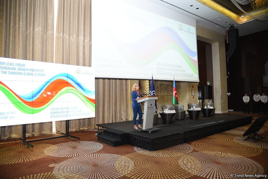 Всемирный банк вложил в экономику Азербайджана свыше $4,5 млрд  - Анна Бьерде (ФОТО)