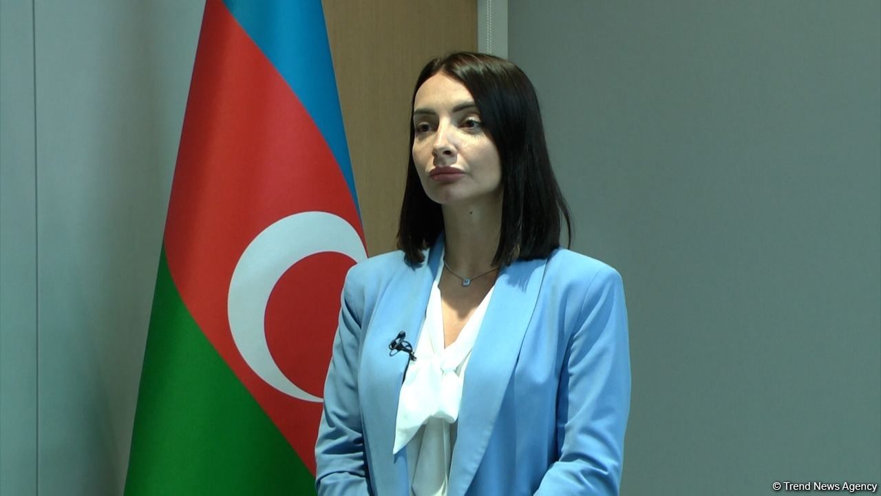 Лейла Абдуллаева прокомментировала антиазербайджанскую резолюцию Национальной ассамблеи Франции
