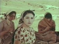 Поединок в горах Азербайджана. Перед сыном стоит тяжелый выбор – сдать отца властям или отпустить на свободу (ФОТО/ВИДЕО)