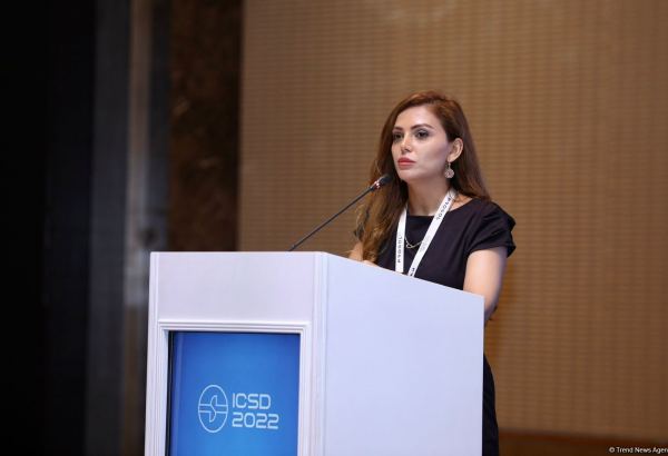 Ресурсы Азербайджана позволяют предотвращать хакерские атаки Армении - Масума Талыбова