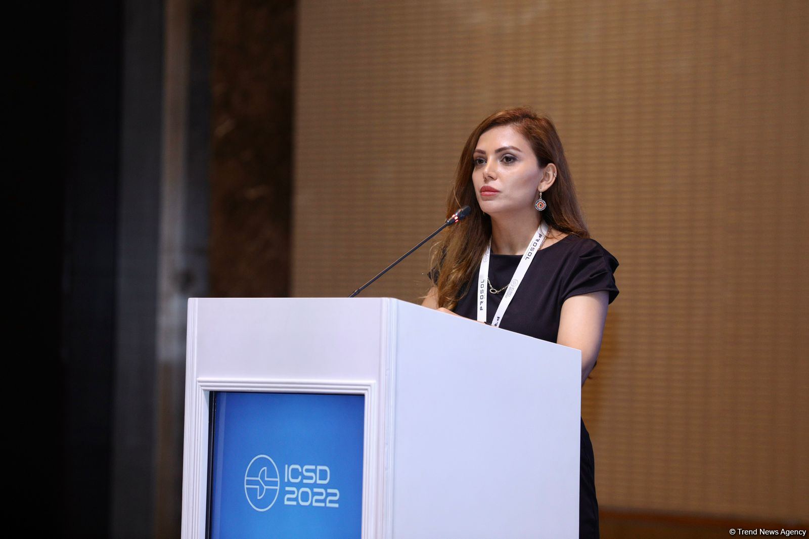 Ресурсы Азербайджана позволяют предотвращать хакерские атаки Армении - Масума Талыбова