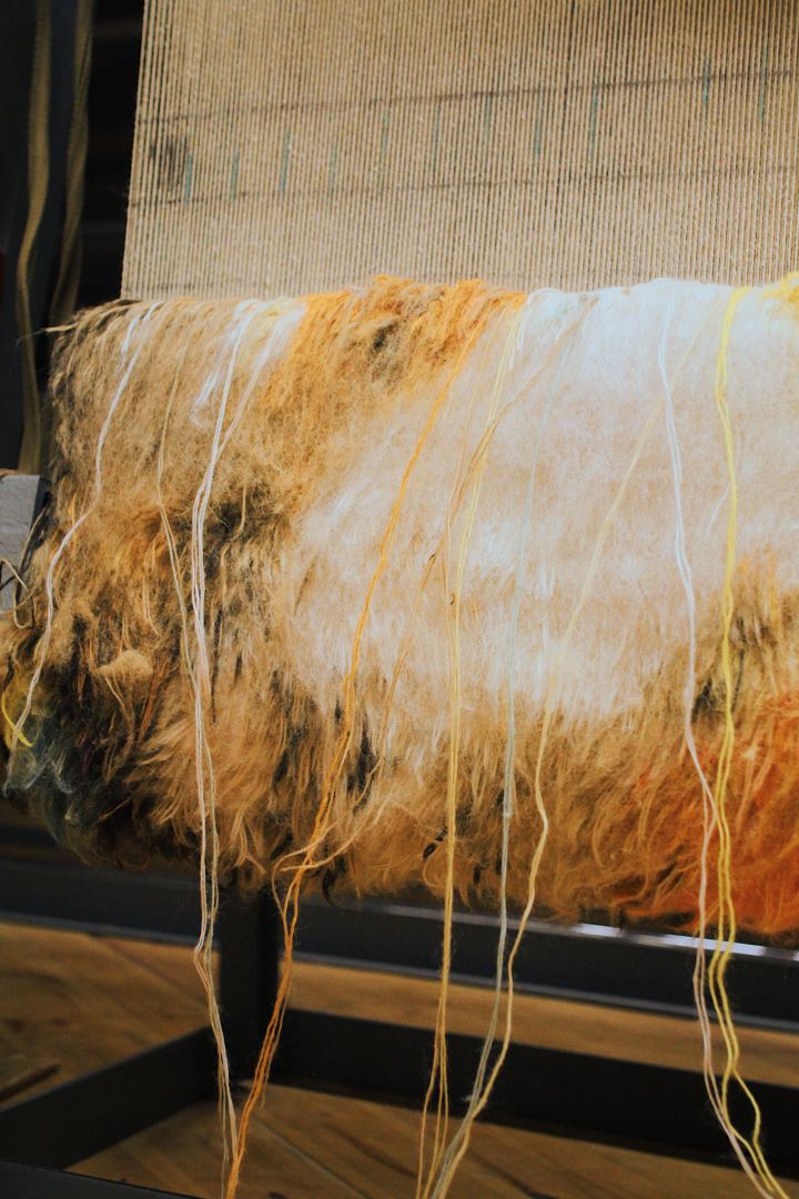 ОАО "Азерхалча" и Rami Meir Art представили новый проект "Восхождение души"  (ФОТО)